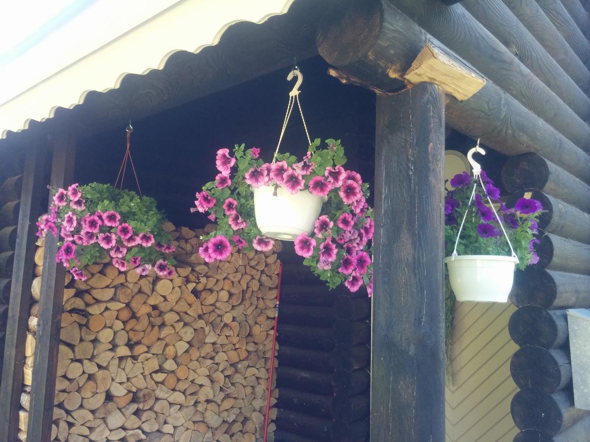 Safari House Guest House Otepaa Bagian luar foto